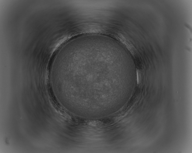X0000093160579200709261511