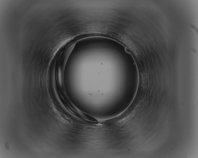 X0000093160580200709261511