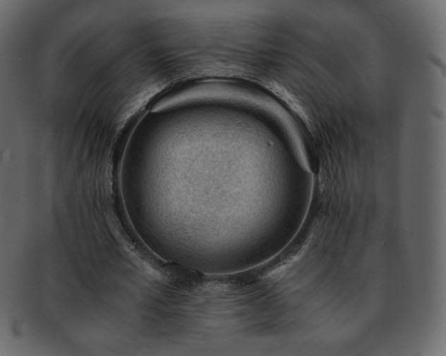 X0000093160581200709261511