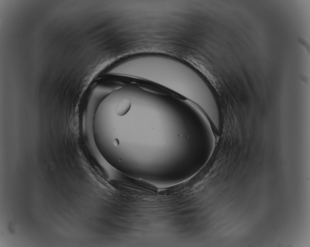 X0000093160584200709261511