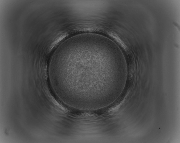 X0000093160585200709261511