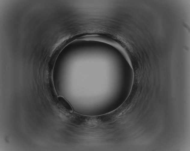 X0000093160587200709261511
