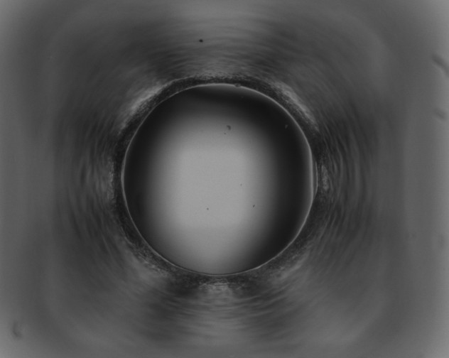 X0000093160588200709261511