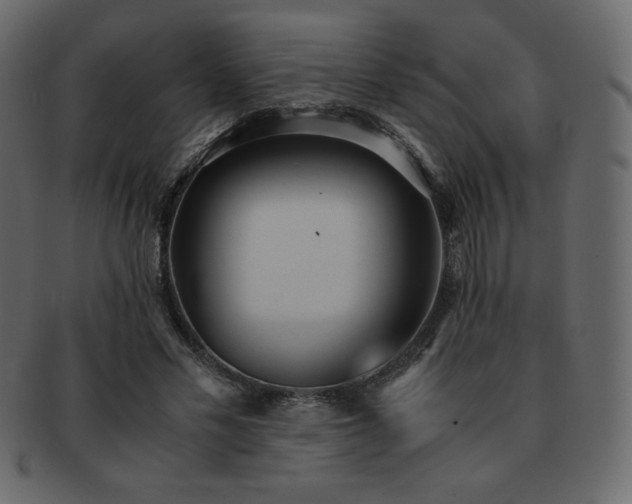 X0000093160589200709261511