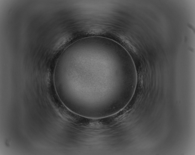 X0000093160591200709261511