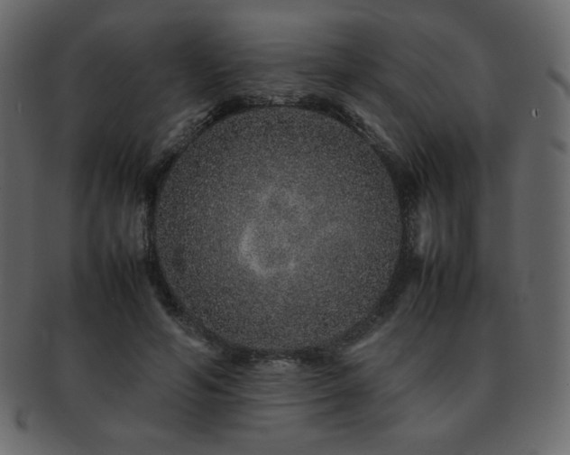 X0000093160594200709261511