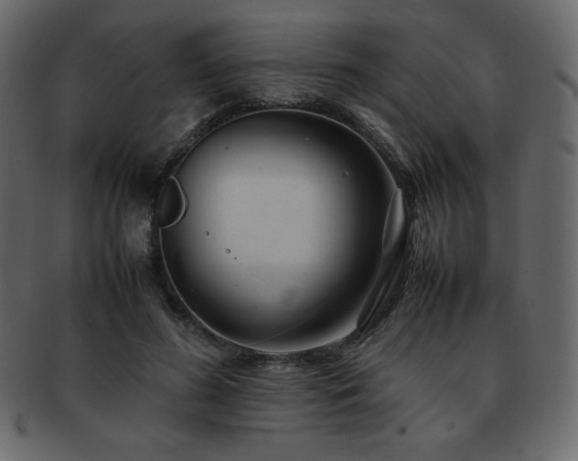 X0000093160596200709261511