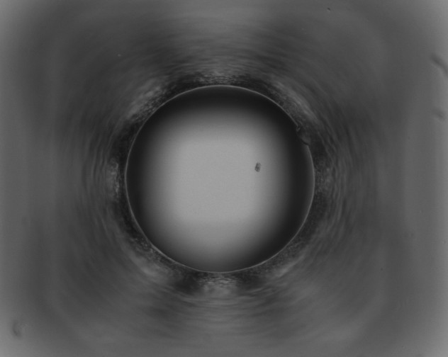X0000093160599200709261511