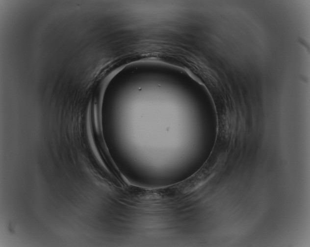 X0000093160600200709261511