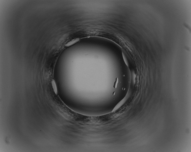 X0000093160601200709261511