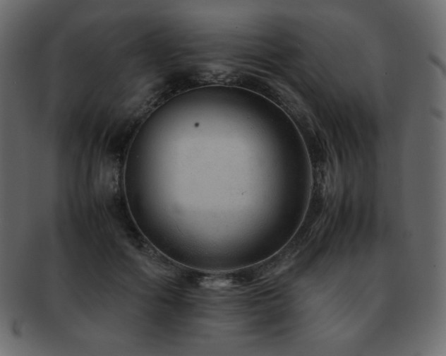 X0000093160602200709261511