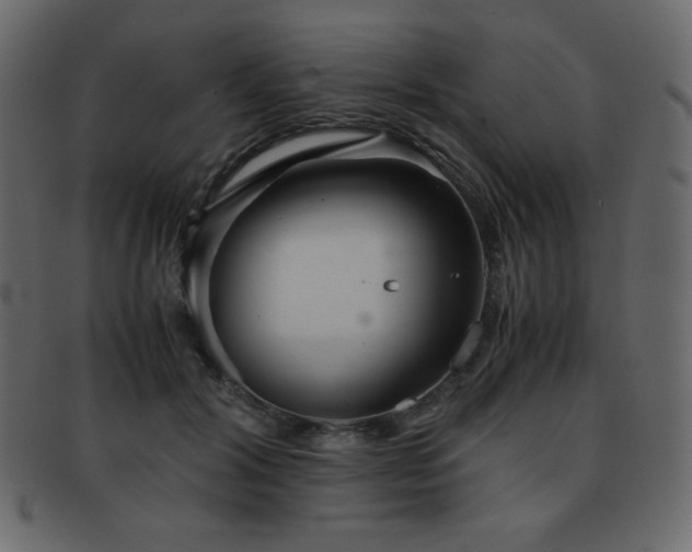 X0000093160604200709261511