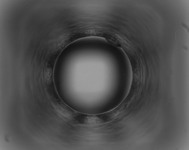 X0000093160605200709261511
