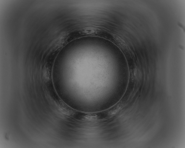 X0000093160606200709261511