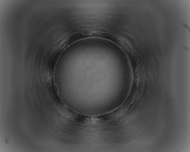 X0000093160607200709261511