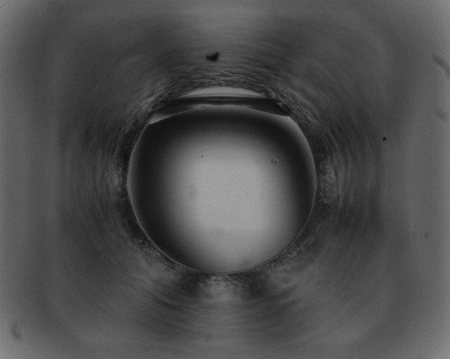 X0000093160608200709261511