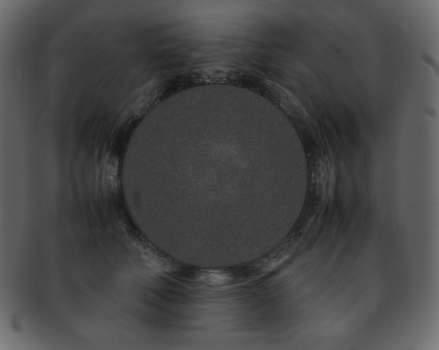 X0000093160610200709261510