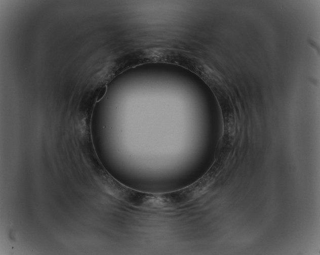 X0000093160611200709261510