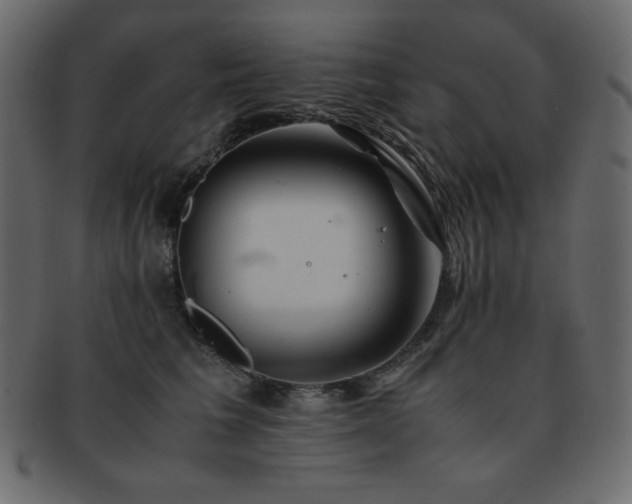 X0000093160613200709261510