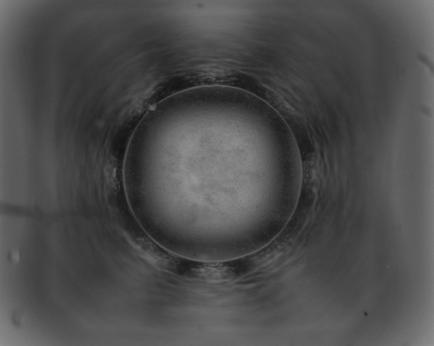 X0000093160615200709261510