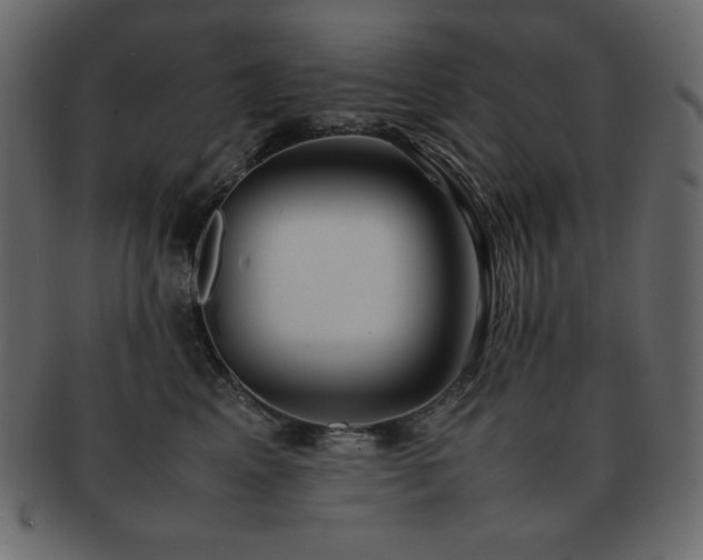 X0000093160617200709261510