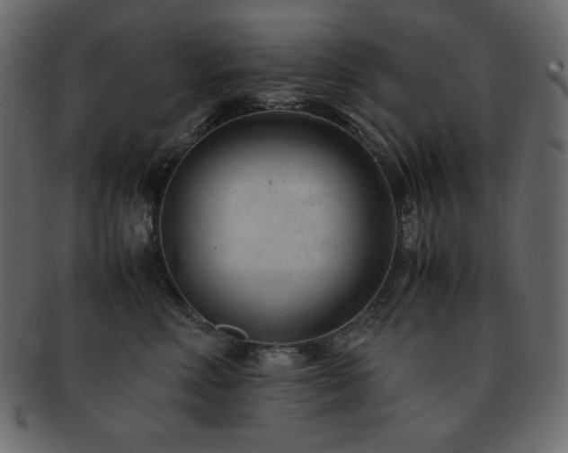 X0000093160618200709261510