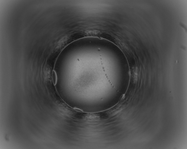 X0000093160619200709261510
