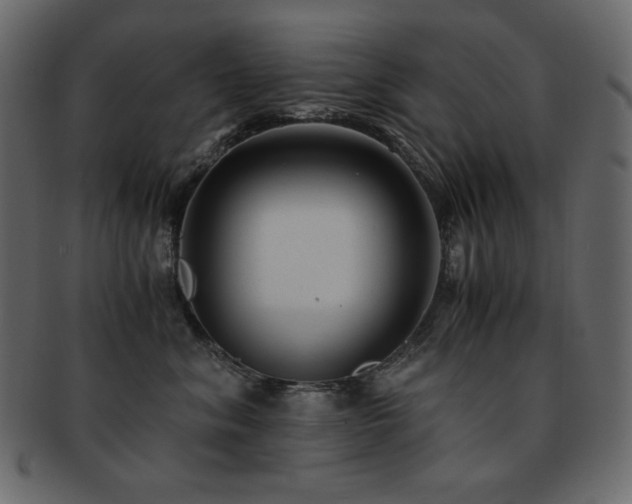 X0000093160620200709261510