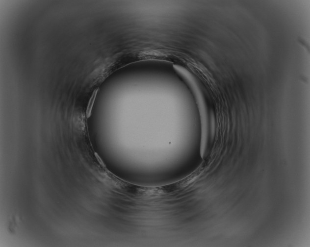 X0000093160621200709261510