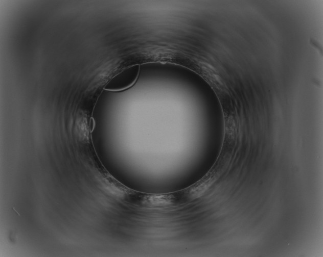 X0000093160622200709261510