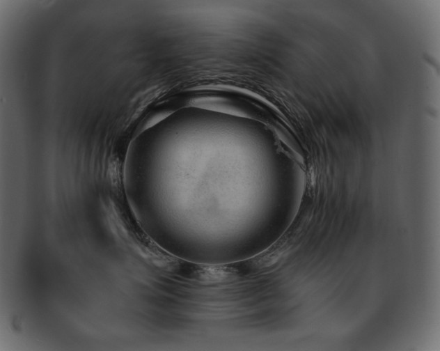 X0000093160623200709261510