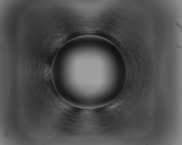 X0000093160624200709261510