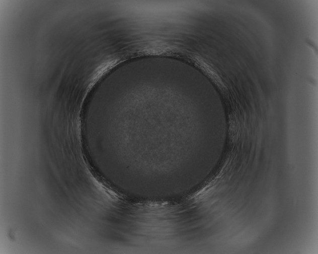 X0000093160626200709261510