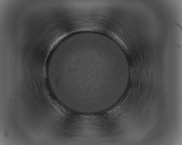 X0000093160628200709261510