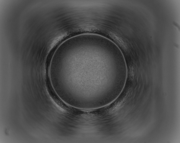 X0000093160630200709261510