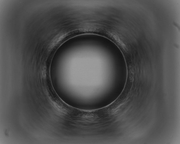 X0000093160631200709261510