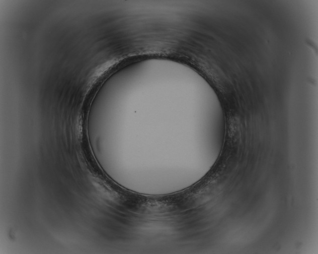 X0000093160632200709261510