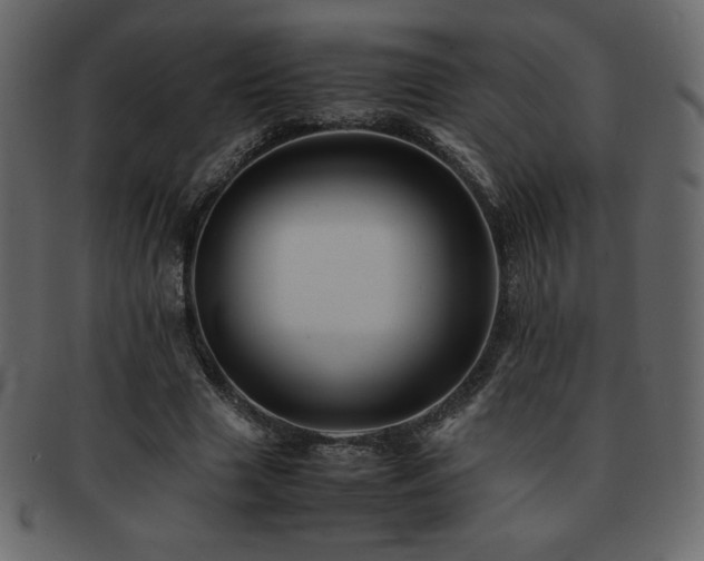 X0000093160633200709261510