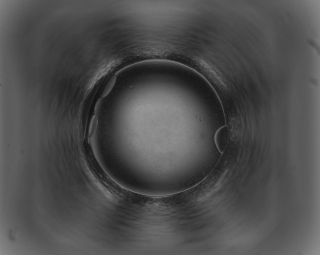 X0000093160634200709261510