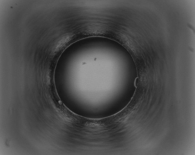 X0000093160635200709261510