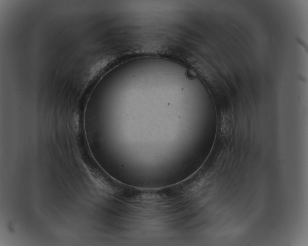 X0000093160636200709261510