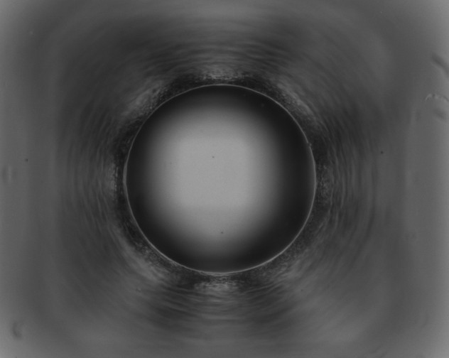X0000093160639200709261510