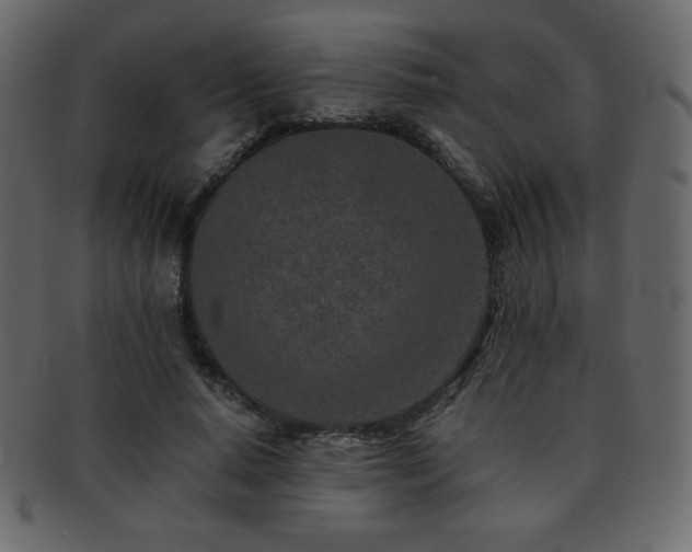 X0000093160640200709261510