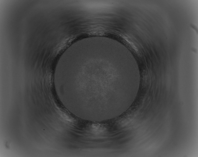 X0000093160641200709261510