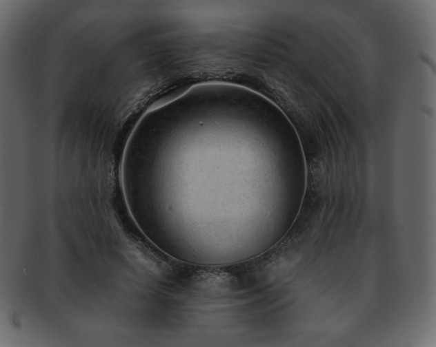X0000093160642200709261510