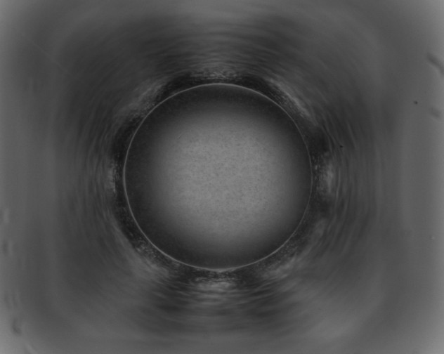 X0000093160643200709261510