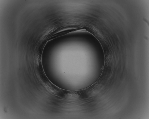 X0000093160644200709261510