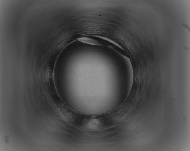 X0000093160647200709261510
