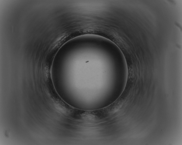 X0000093160648200709261510