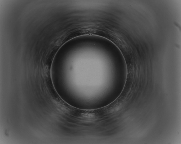 X0000093160649200709261510